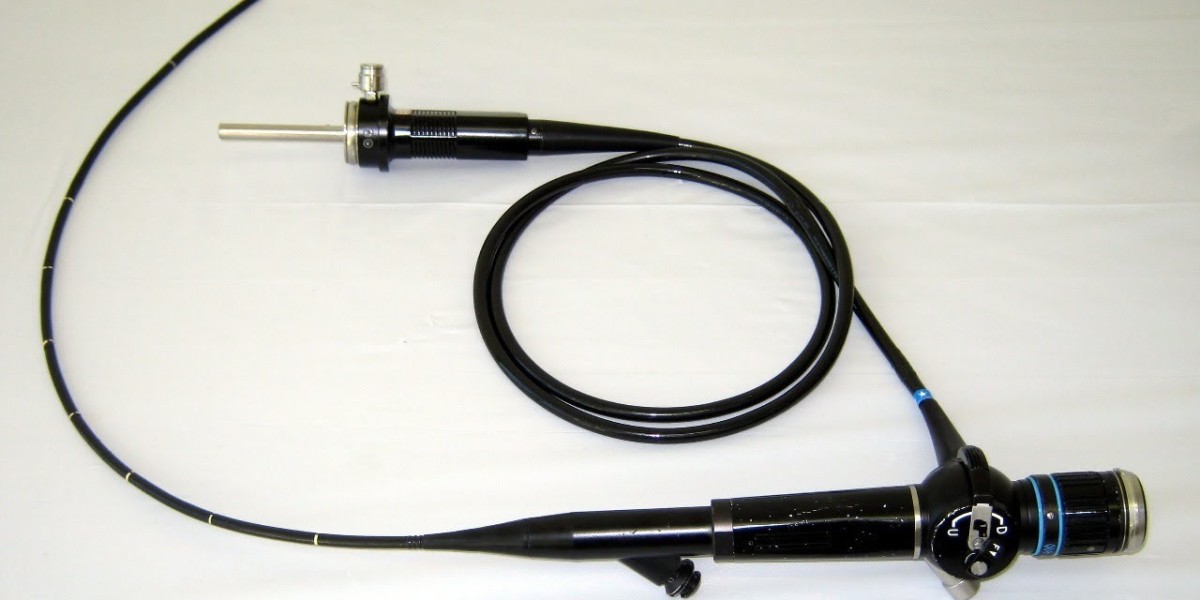 "From 2021 to 2031: Mapping the Future of the Global Ultrasound Endoscope Market"